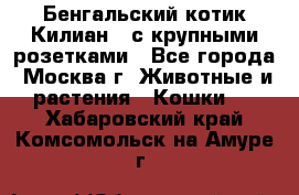 Бенгальский котик Килиан , с крупными розетками - Все города, Москва г. Животные и растения » Кошки   . Хабаровский край,Комсомольск-на-Амуре г.